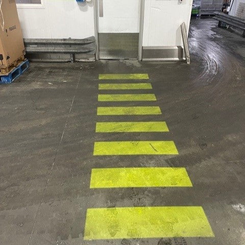 LED Safety Projector Light PL-100-001-150W